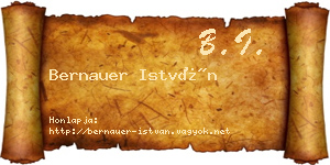 Bernauer István névjegykártya